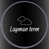 Layman Terms Store